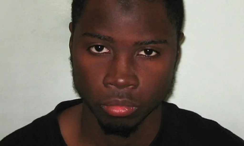 Brexit restricts sex attacker’s prison sentence