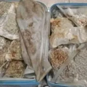 Man flying from Bangkok faces drug smuggle charge