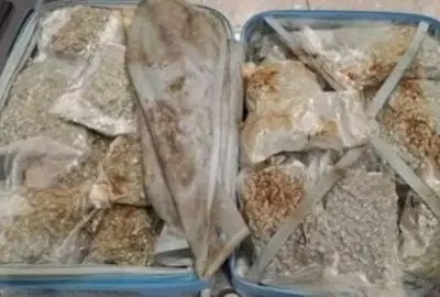 Man flying from Bangkok faces drug smuggle charge