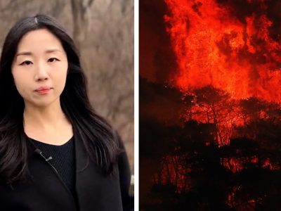 Why have the wildfires in S Korea been so devastating?