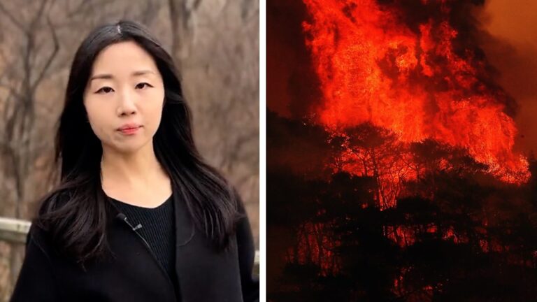 Why have the wildfires in S Korea been so devastating?
